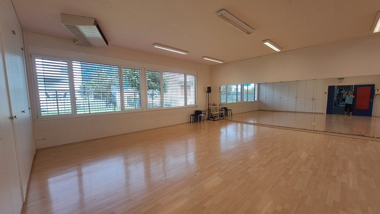 Sala a Losone