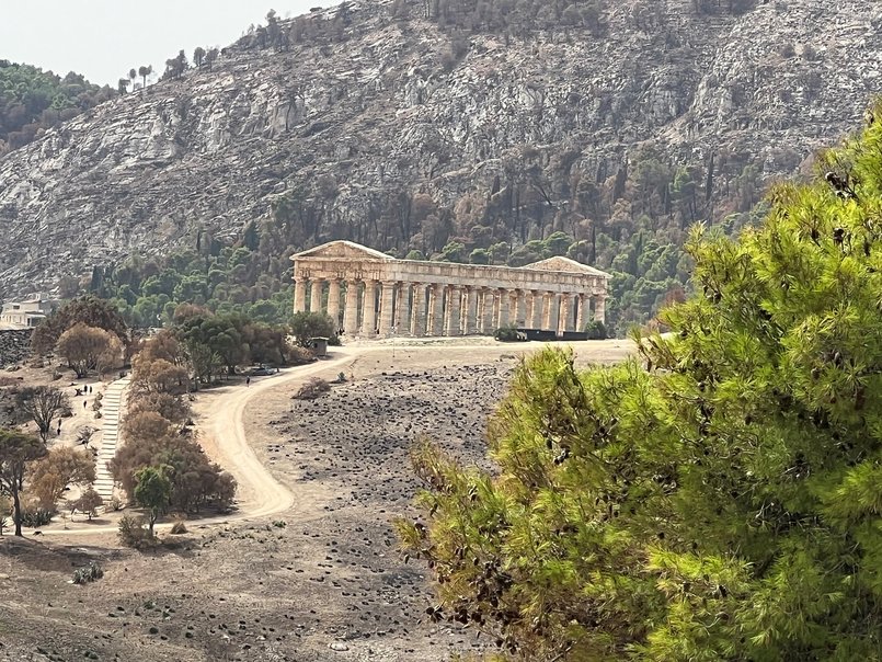 [Translate to Italian:] Der Tempel von Segesta. Rundherum verbrannte Erde