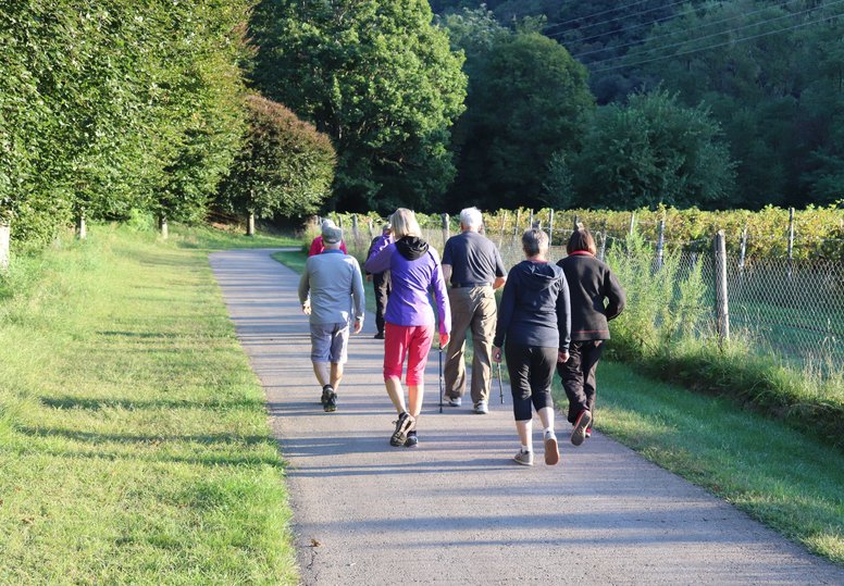 Frühaufsteher Walkinggruppe