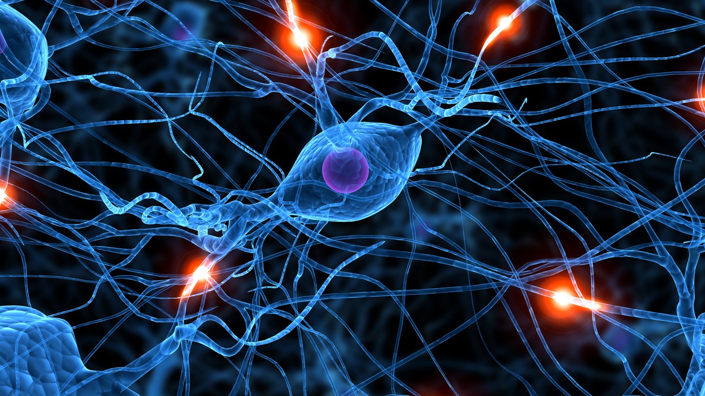 Was ist Parkinson? Aktive Hirnzellen_Parkinson Schweiz