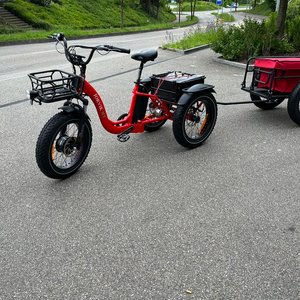 Electric Mountain Trike mit Anhänger